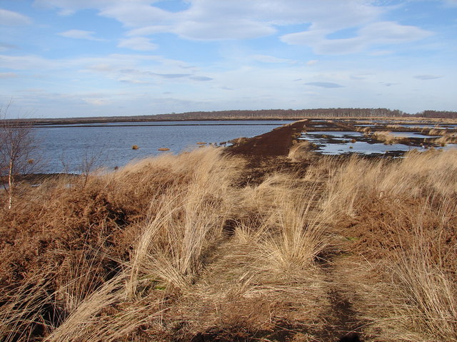 244 Peatlands with trees in distance geograph.org.uk 1172422