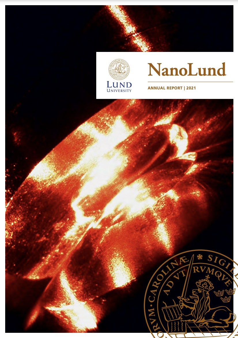 Cover of annual report 2021.