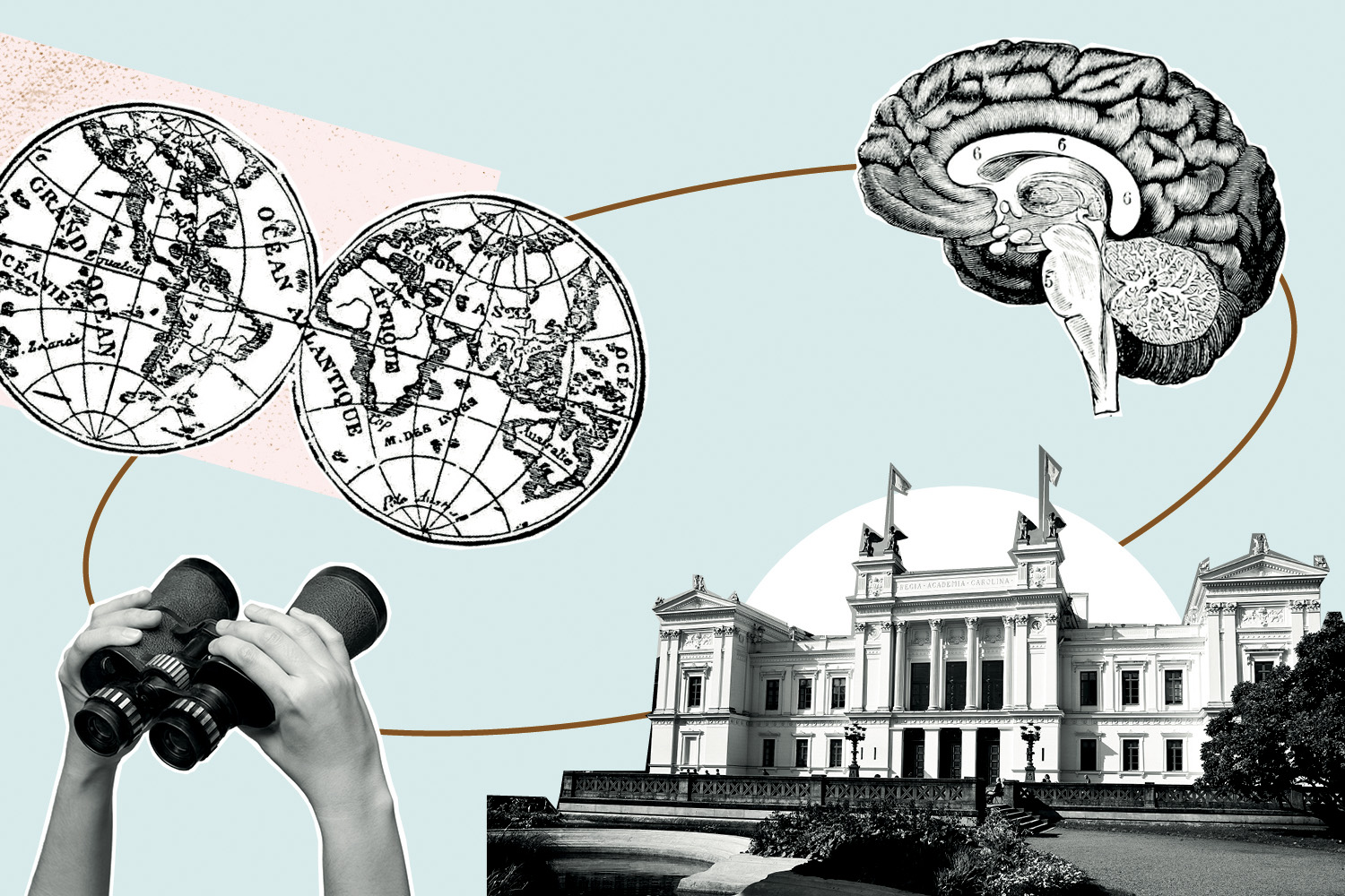 The university building, a brain, a world map and a pair of binoculars. Illustration.