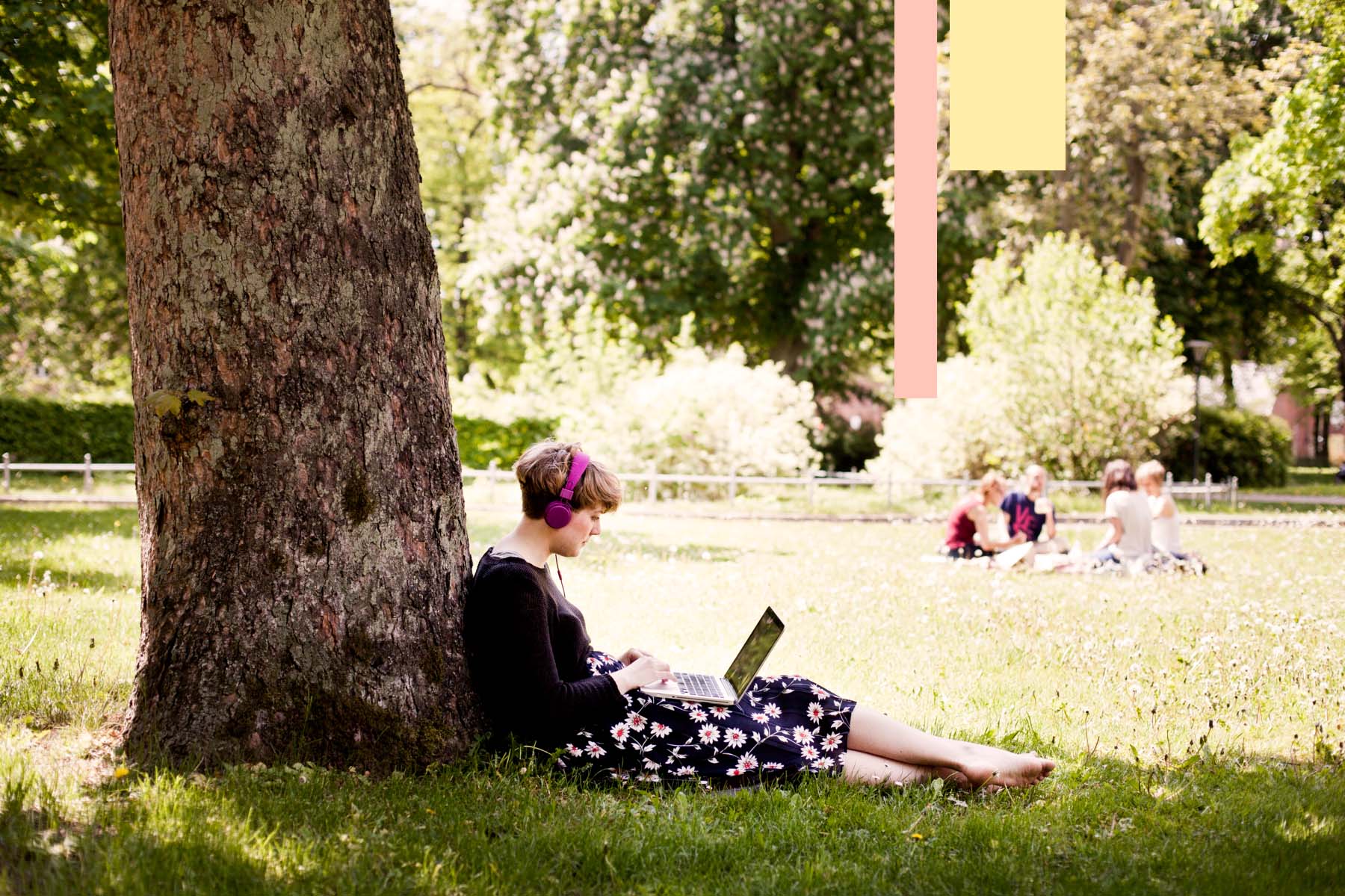 En person sitter lutad mot ett träd i en park med en dator i knät. Foto.