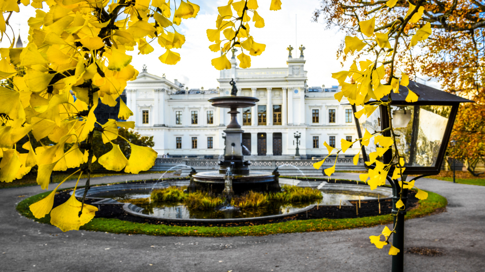Universitetshuset i Lund. Foto: Kennet Ruona