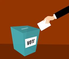 Voting. Photo: Pixabay