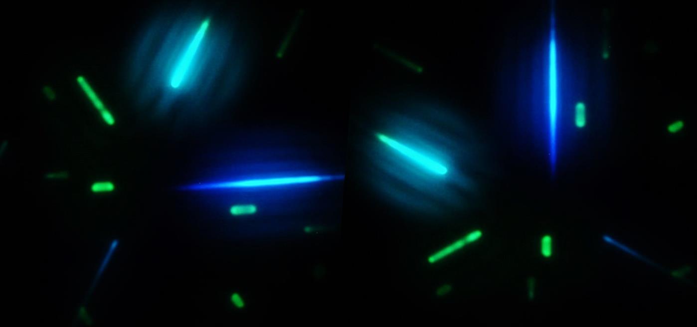 Photo of perovskit nanotubes looking like star war laser swords.