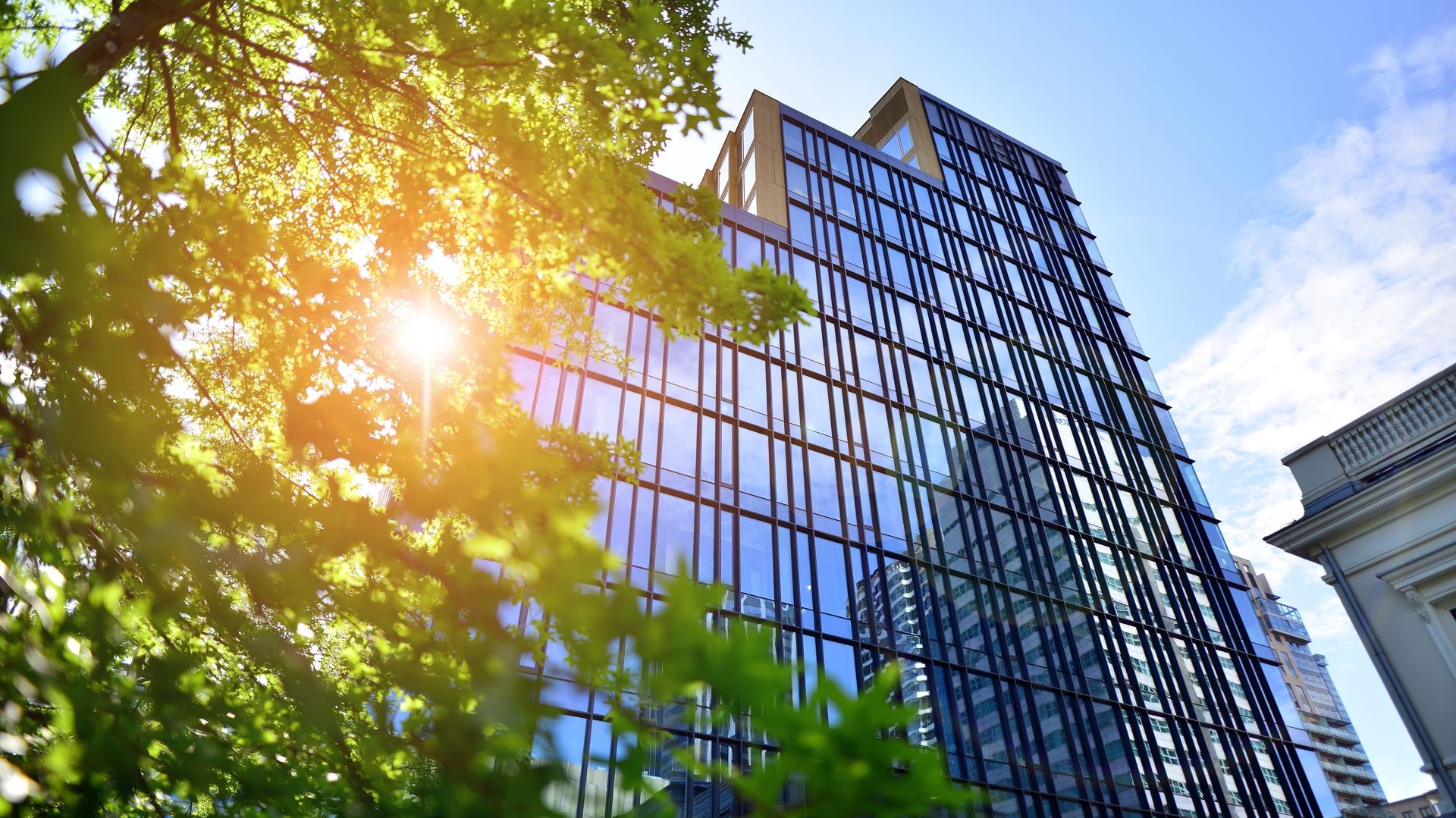 2314 okoarkitektur. Gront tre og kontorbygg i glass. Harmonien mellom natur og modernitet. Refleksjon av moderne naringsbygg pa glass med sollys. SAN 01757