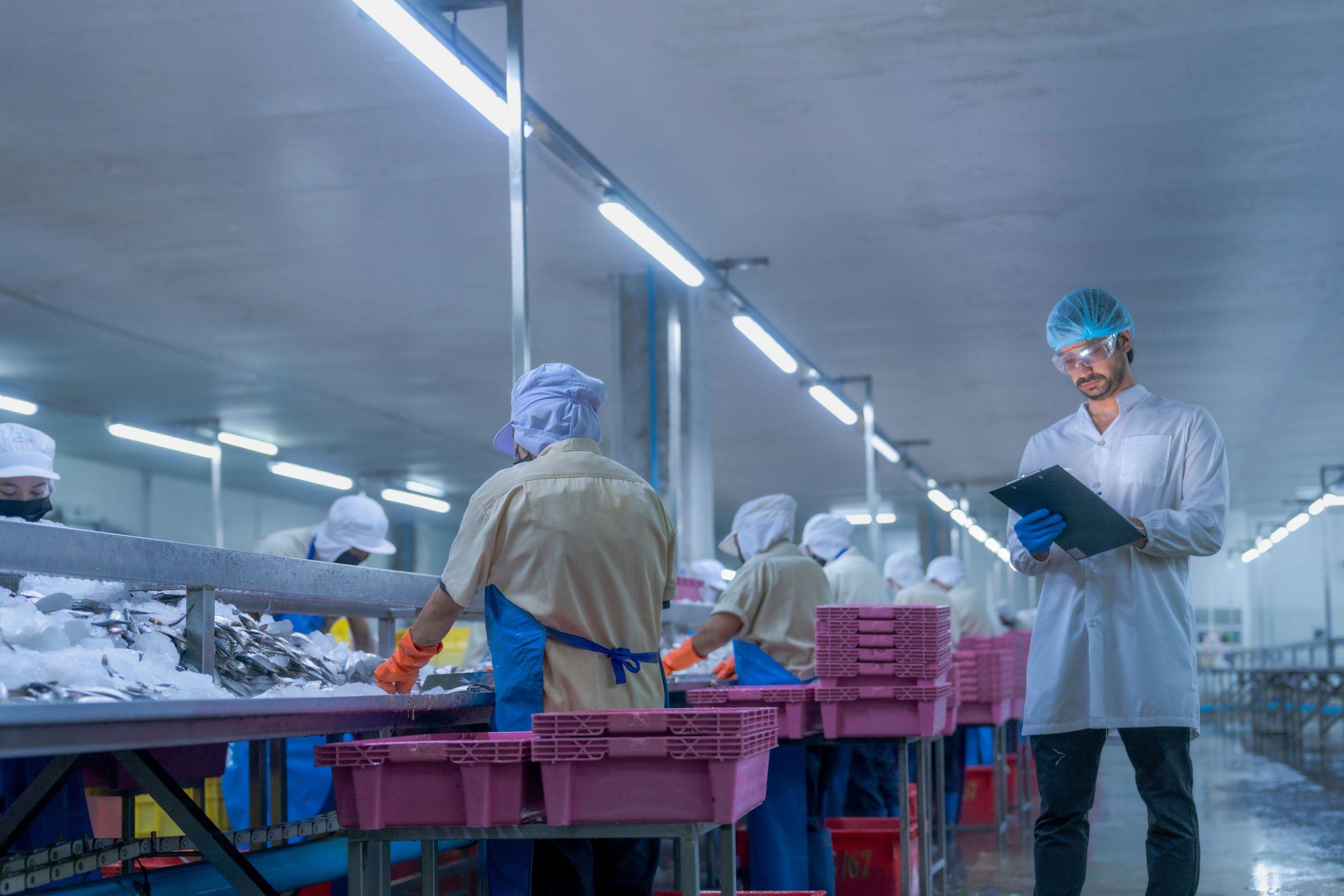 2558 Tilsyn fiskeri sj%C3%B8mat shutterstock 2593783605