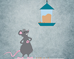 Illustration av en flinande råtta som står och väntar på att fågelmat ska ramla från en fågelmatare