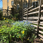 staket i trä med långa liggande pinnar och blå och gula blommor framför