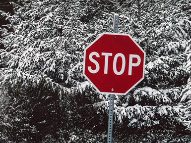 Stoppskylt mot snöklädda träd. Foto Jasper Garratt