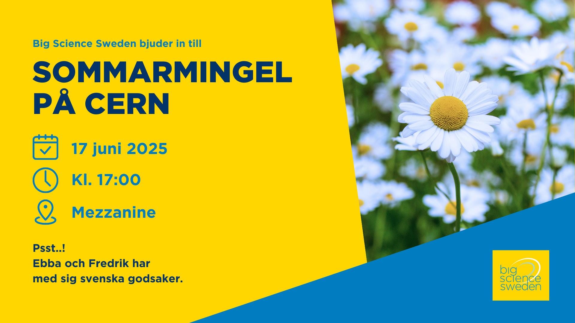 Glögg på CERN med Big Science Sweden