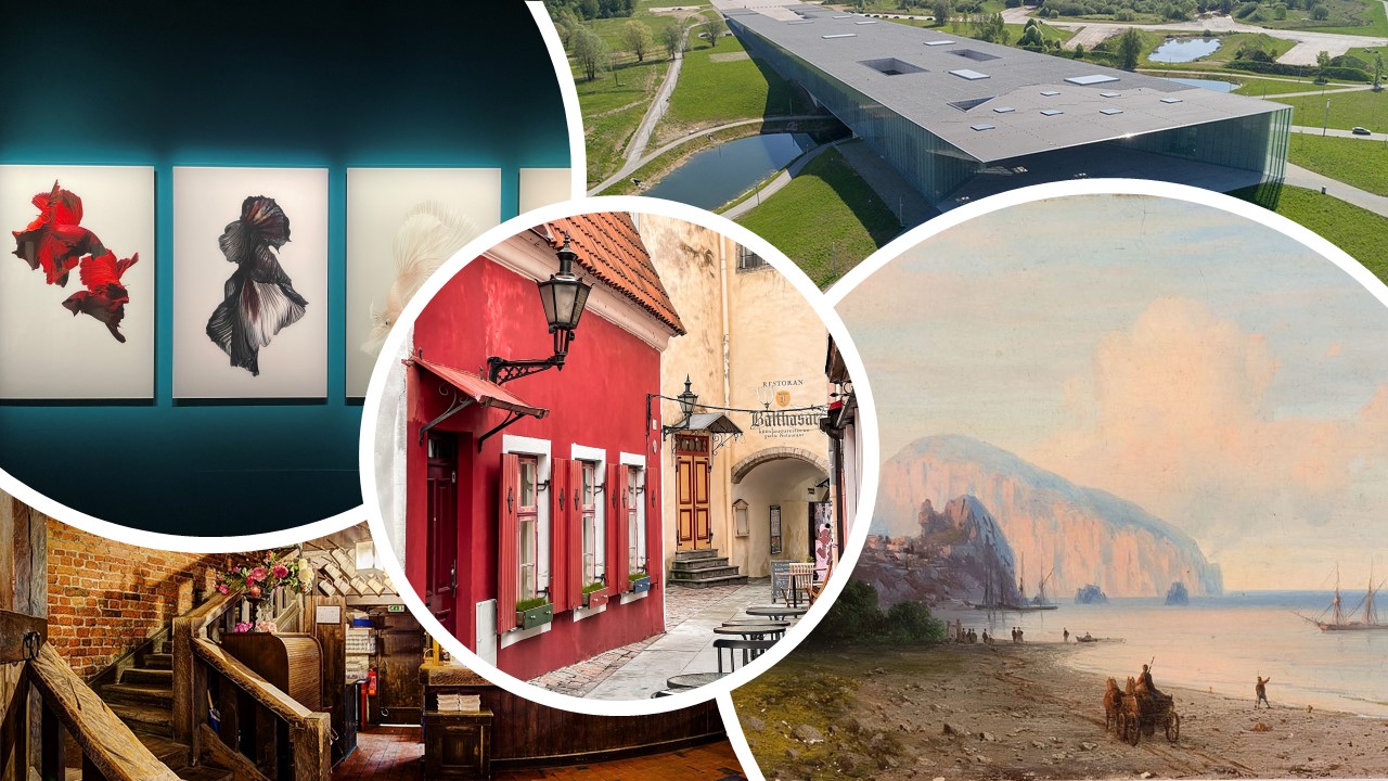 805 Berlin Opus 2025 2