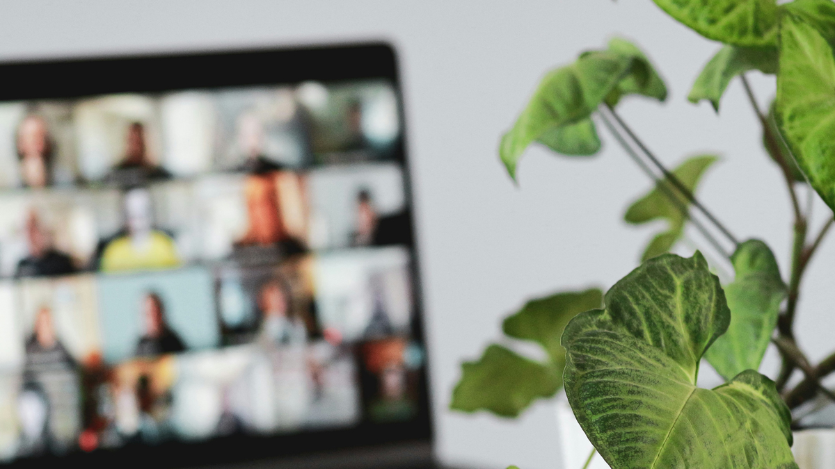 Laptop med pågående videomöte i ett digitalt klassrum. I förgrunden syns gröna växter och i bakgrunden ett suddigt rutnät med deltagare på skärmen.