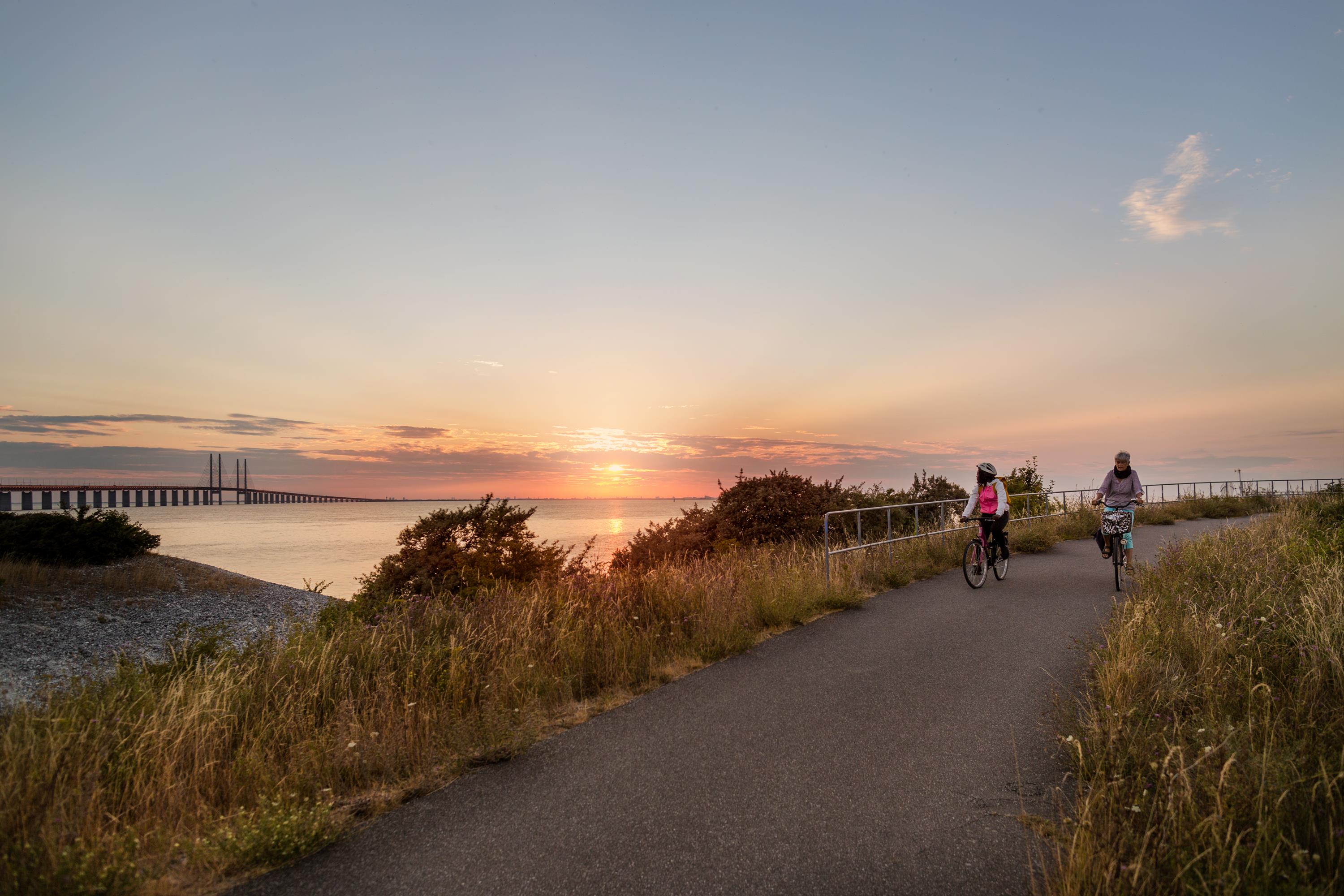 592 Sydkustleden Malmo Oresund bridge2 %C2%A9 Apeloga