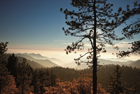 320 Mist on the Sierra Nevada Mountains 183417391 5616x3744