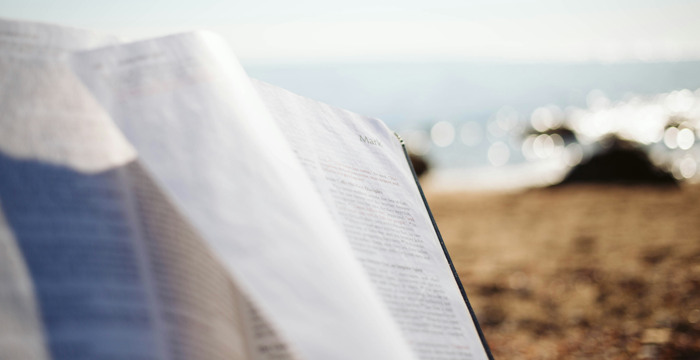 377 summer reading unsplash