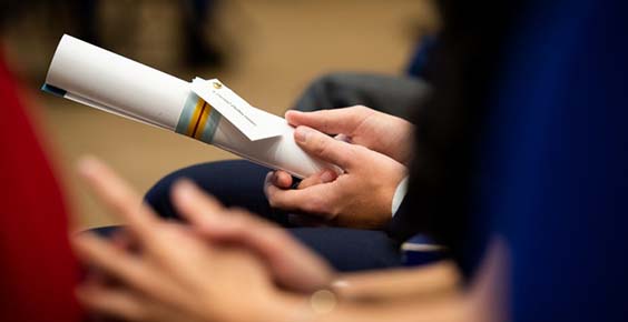 416 Diplom examen org