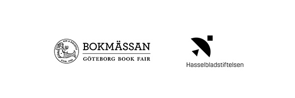 10853 Logobanner Ho%cc%88gstadiedagenjpg