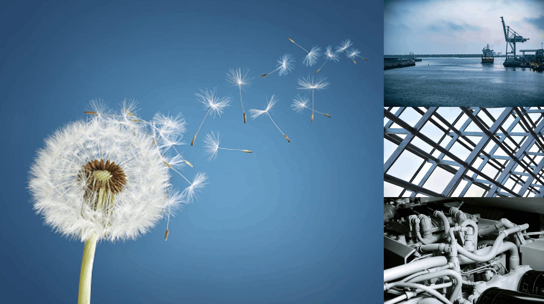2531 Original900x500 Collage VBD Infoletter
