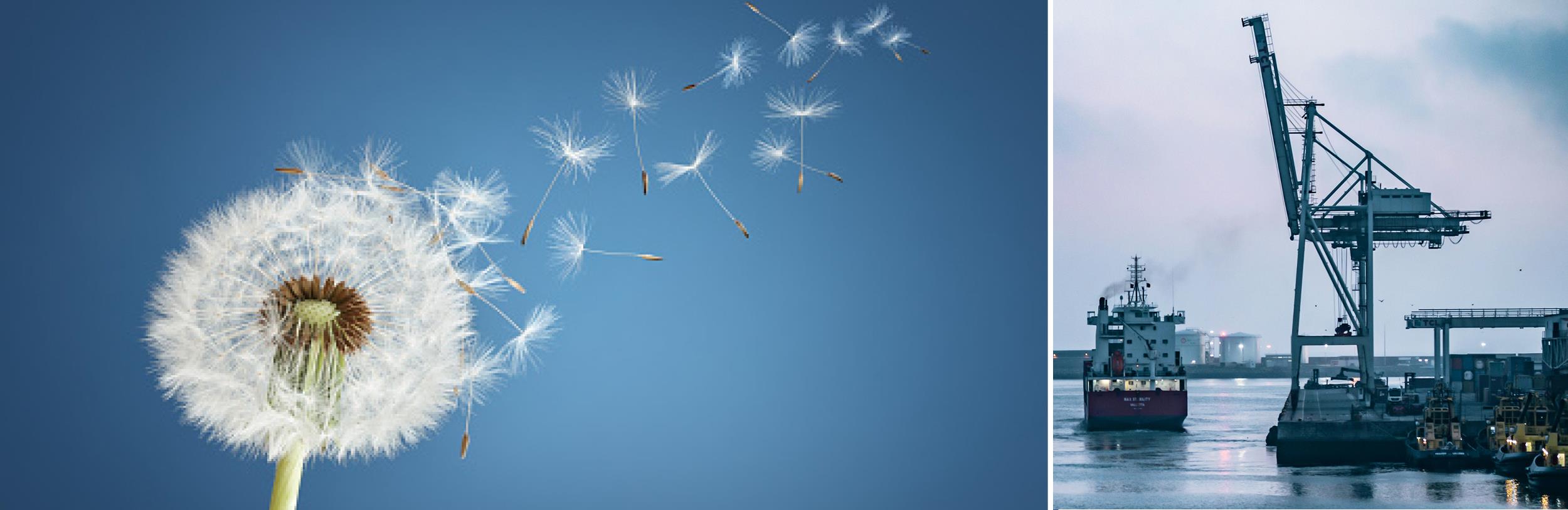 2978 600x195 Leichtbau unsplash