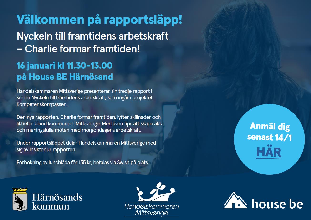 3905 Sk%C3%A4rmbild 2025 12 15 085654