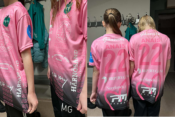 3963 handboll collage