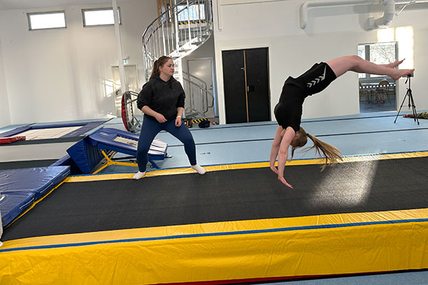4199 gymnastik