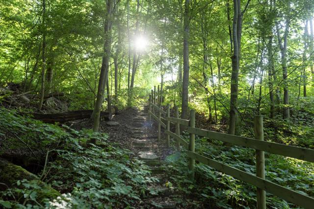 2658 240625 borgen 00058 1 Medium