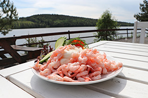 1266 v%c3%a4rmskogs cafe