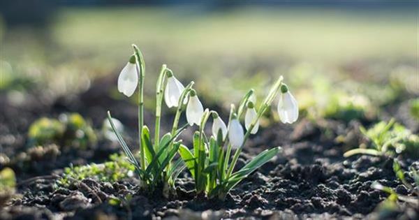 416 csaba talaber tldCrUd18io unsplash