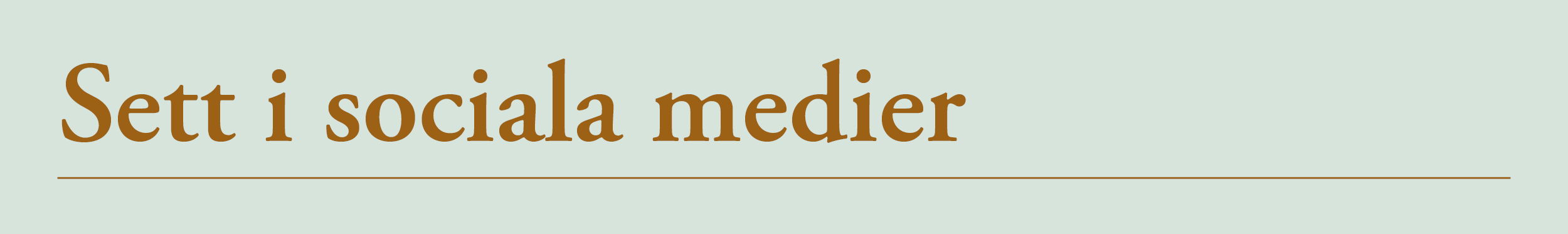 5929 2702 Vinjett 600x90 sv %281%29