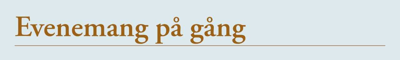 6047 p%C3%A5g%C3%A5ng svenska