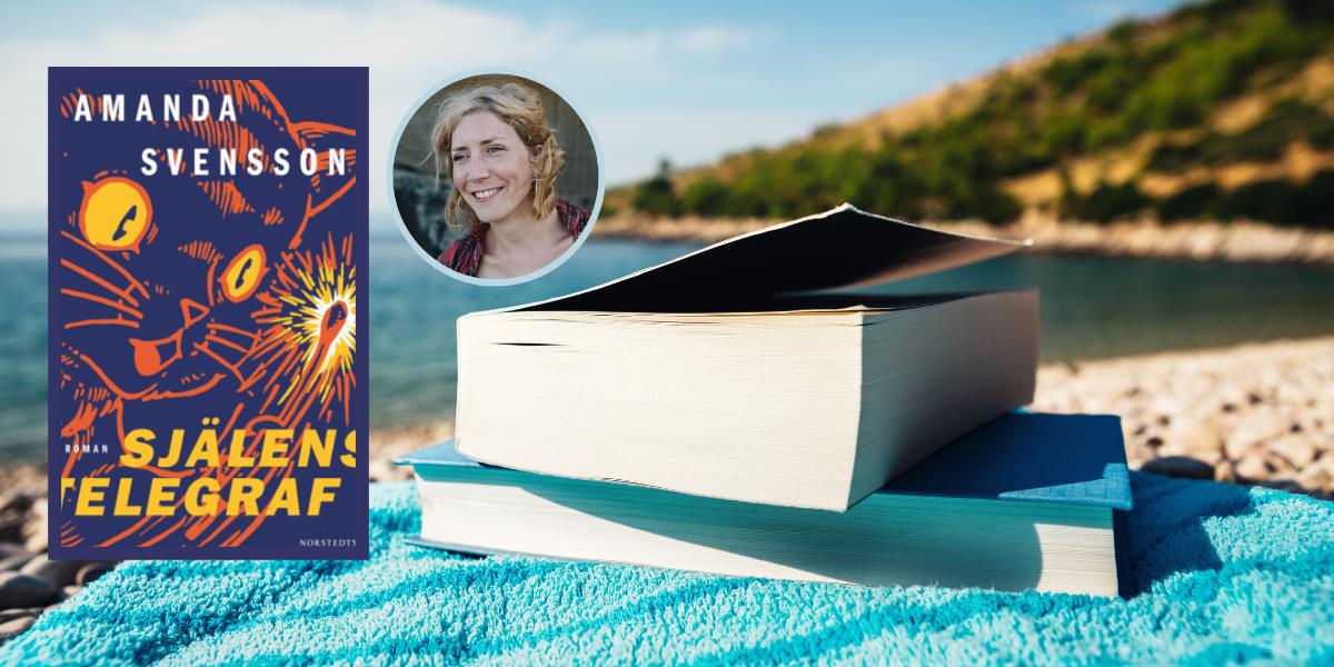 8097 sjalenstelegraf nyhetsbrev