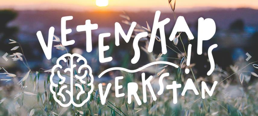 8101 vetenskapsverkstan