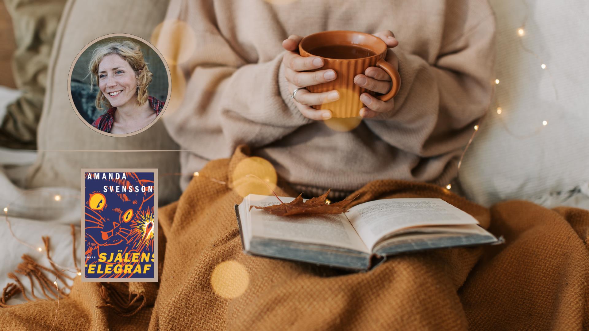 8170 f%c3%b6rfattarsamtal