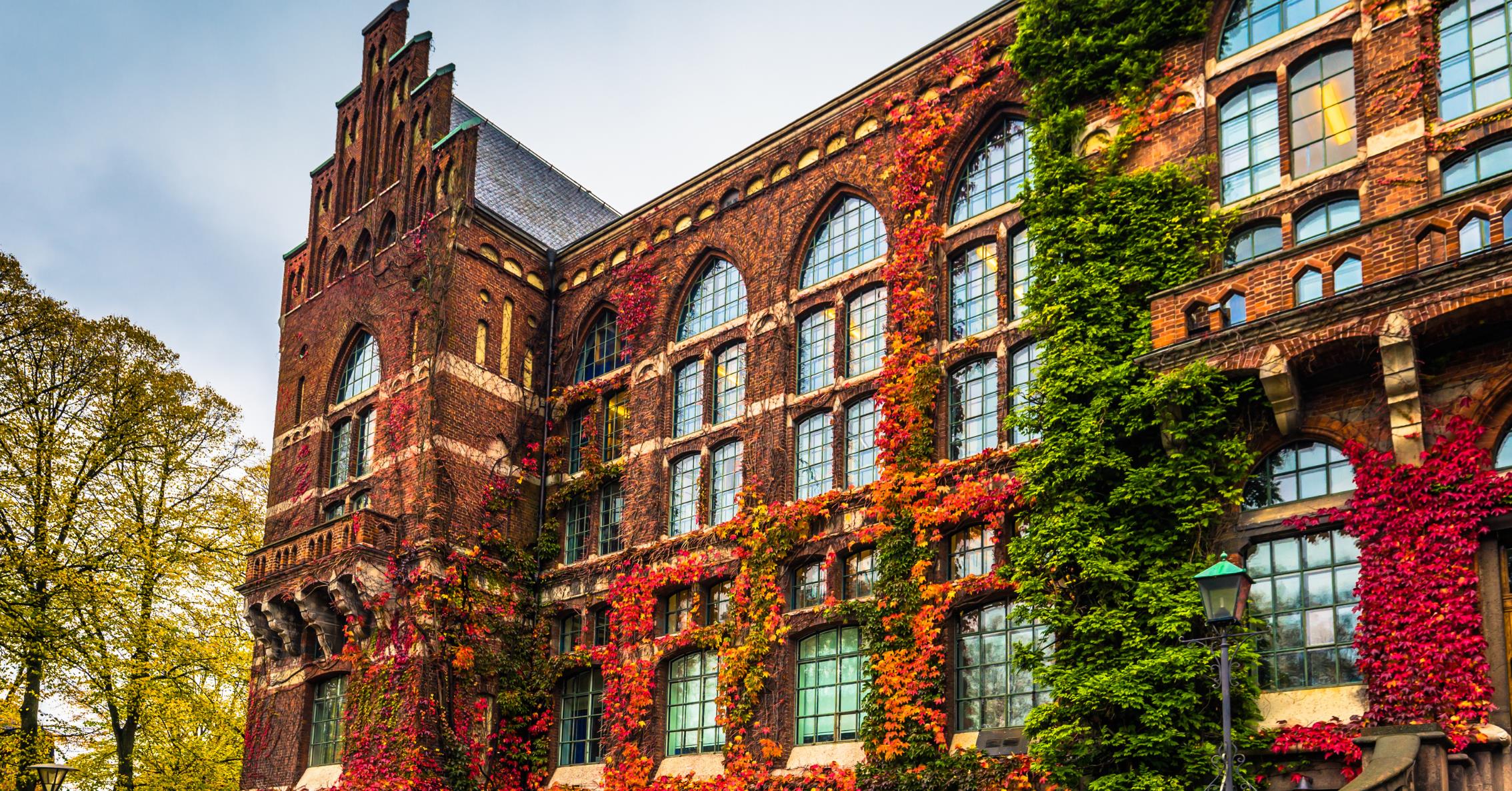 8172 h%c3%b6st mindre