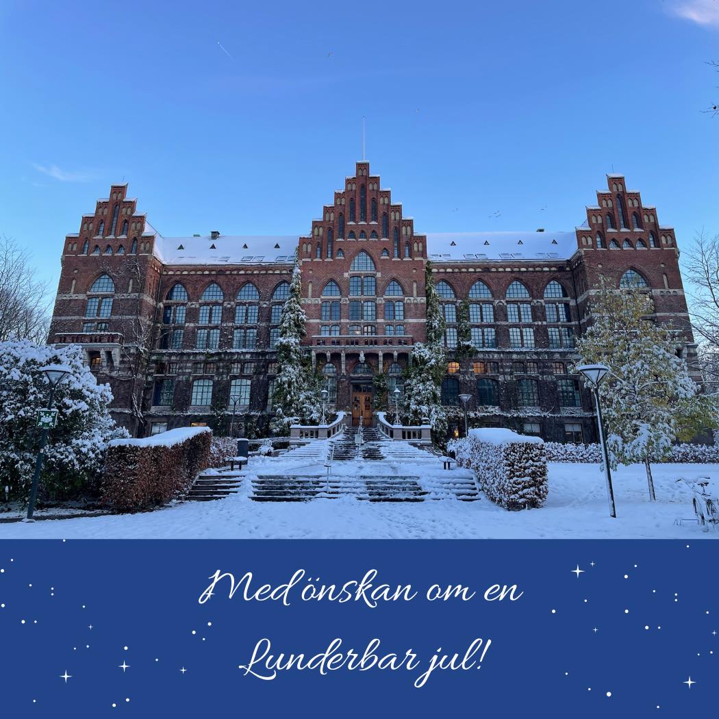 8396 Med %C3%B6nskan om en Lunderbar jul%21 %282%29