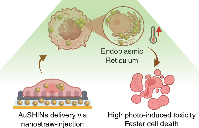 Illustration to a scientific publication.