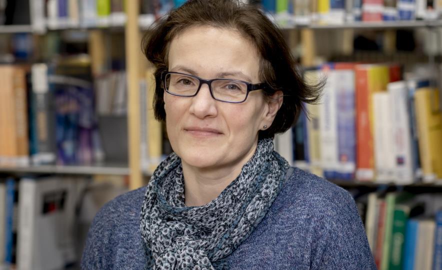 Photo collage of a city.