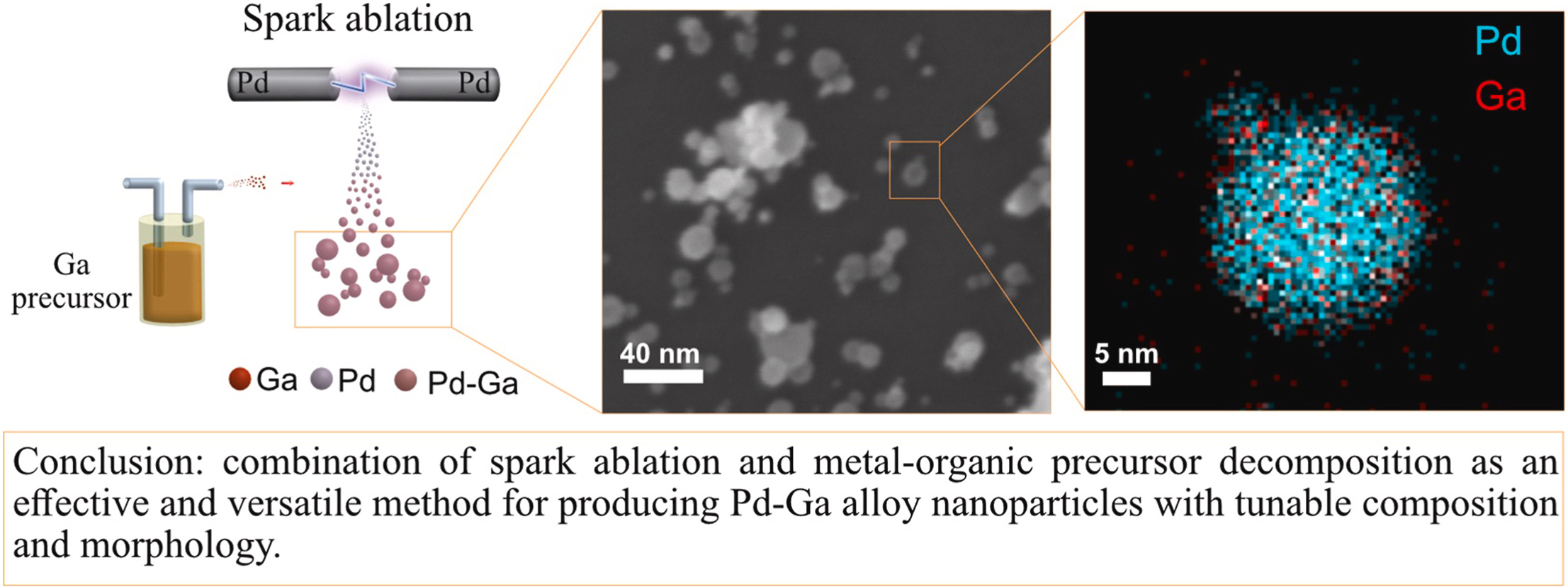 Scientific illustration.