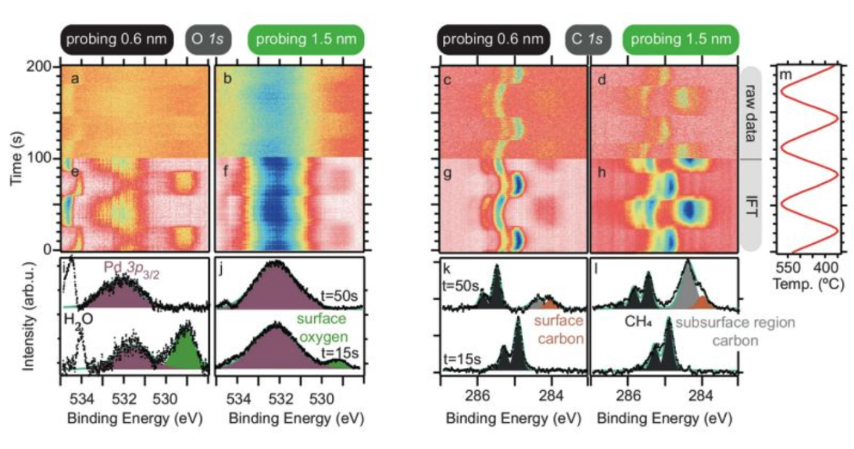 Illustration to a scientific publication.