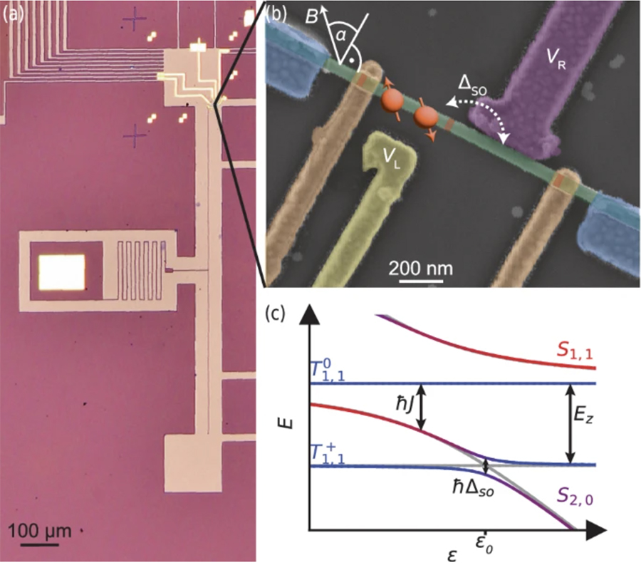 Scientific illustration.
