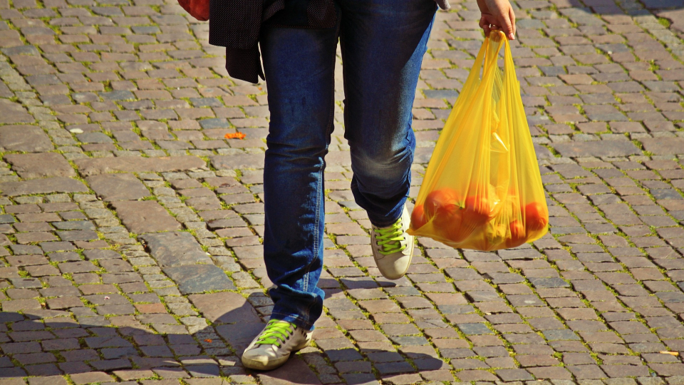 Person bär plastpåse med frukt. Foto: Pixabay.