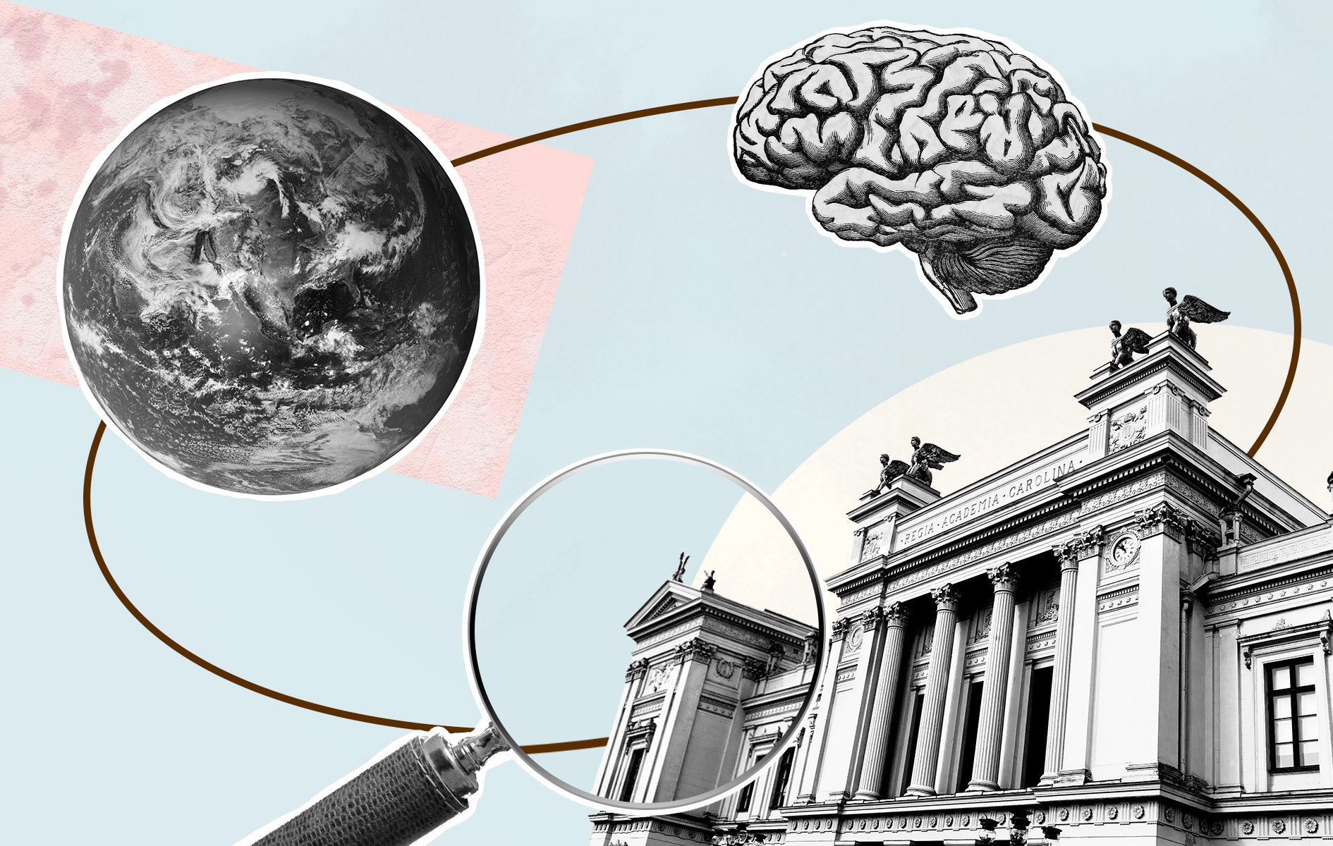 A globe, a brain, the university building and a magnifying glass connected with a circle. Illustration.
