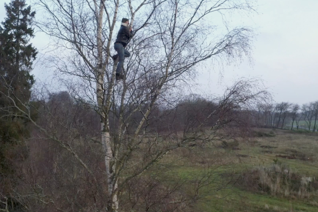 Person som klättrar i ett träd. Foto.