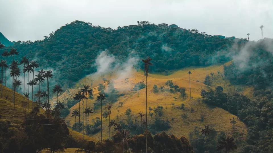 Berg och landskap i Colombia. Foto: Unsplash