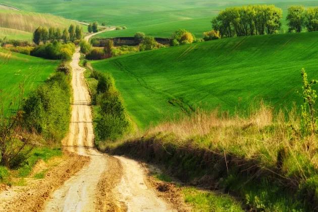 En väg som går genom ett grönt landskap. Bild: Shutterstock.