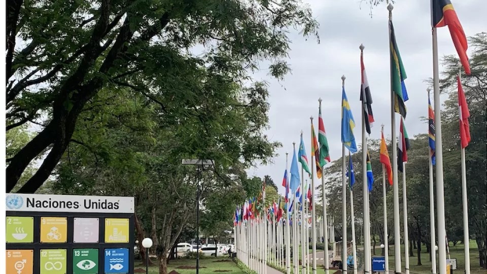 Foto från Nairobi med flera länders flaggor på rad. Fotograf: Tara Olsen