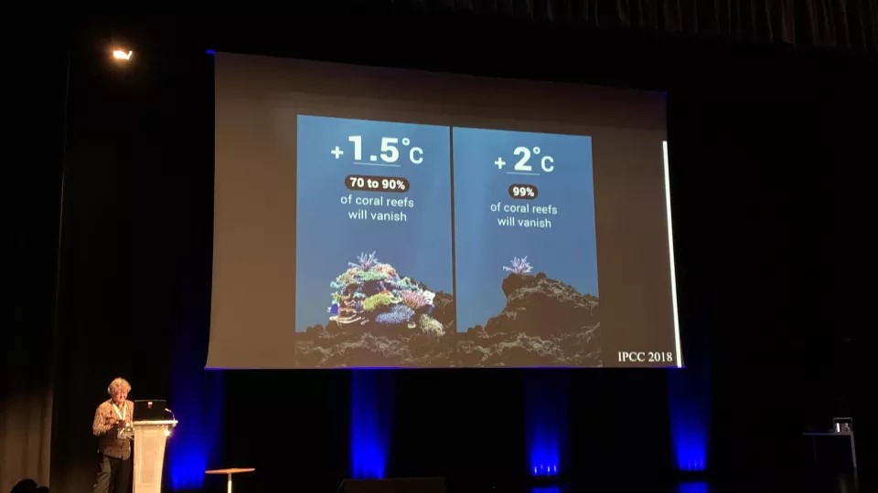 Bild på konferensdeltagare. Foto: Emma Kritzberg