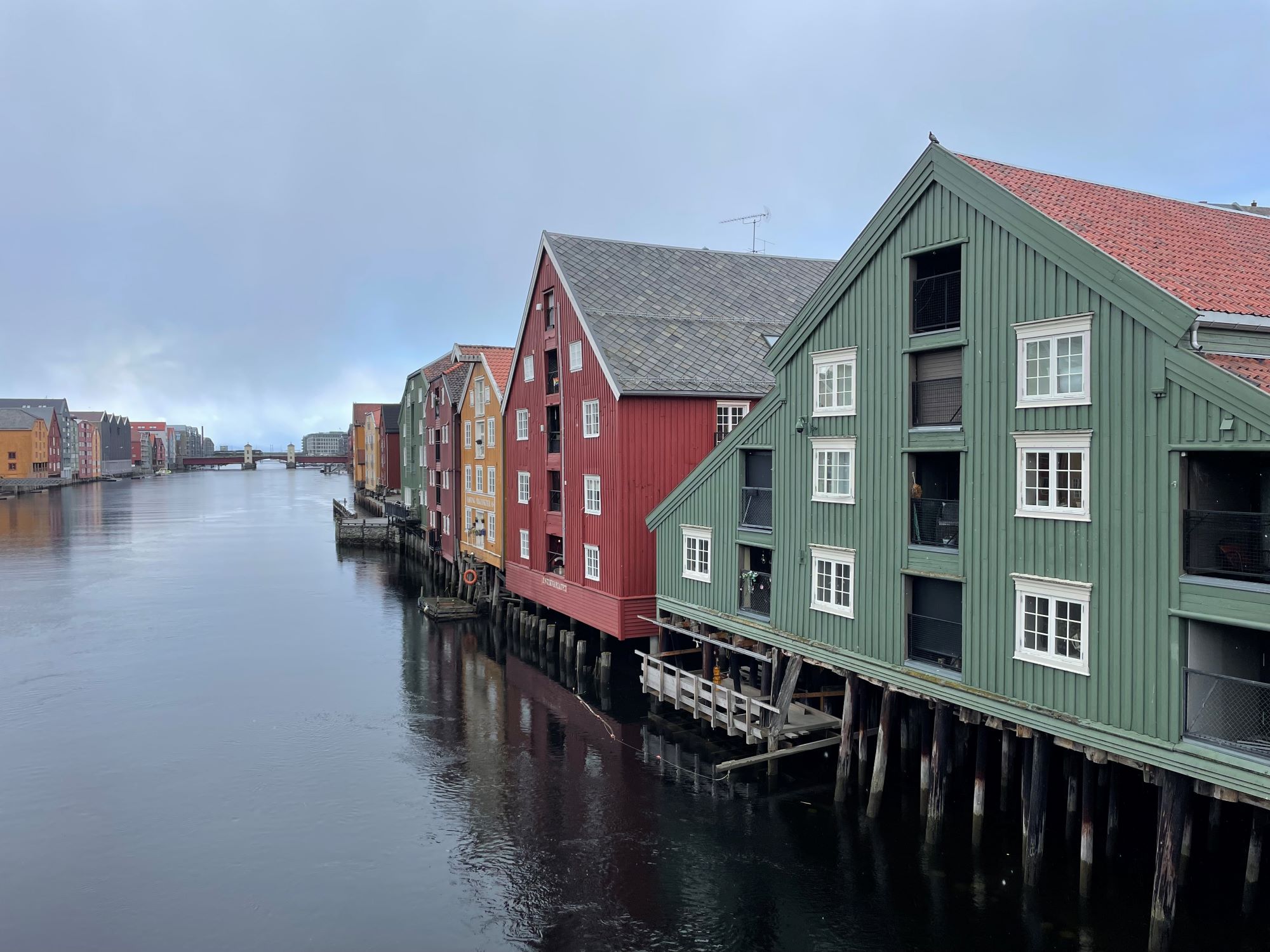 Vy över Trondheim. Foto: Tullia Jack. 