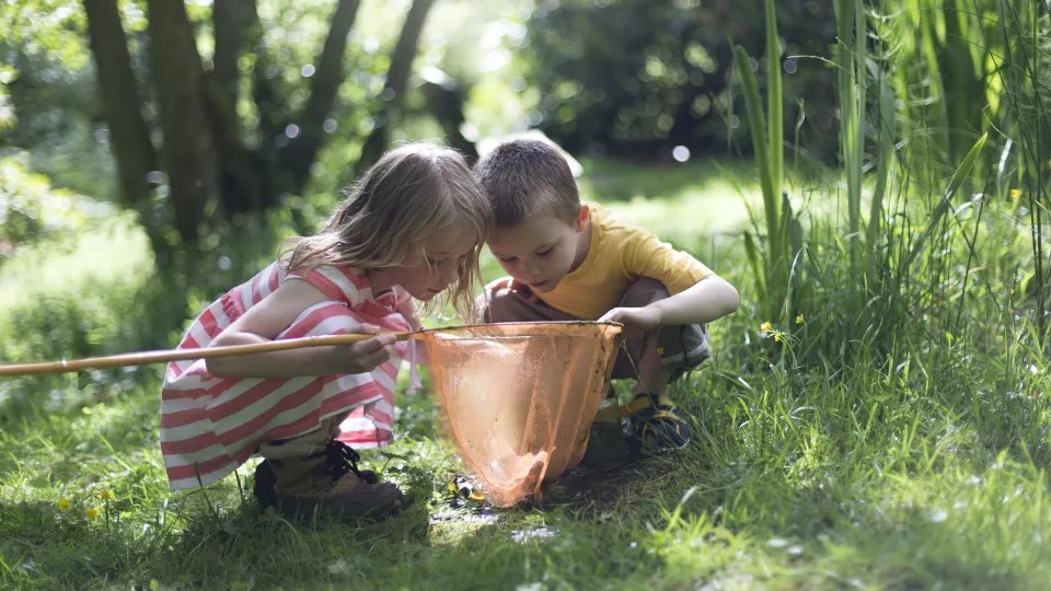 Två barn undersöker vad de fiskat upp ur en damm med sin håv. Foto: Istockphoto.