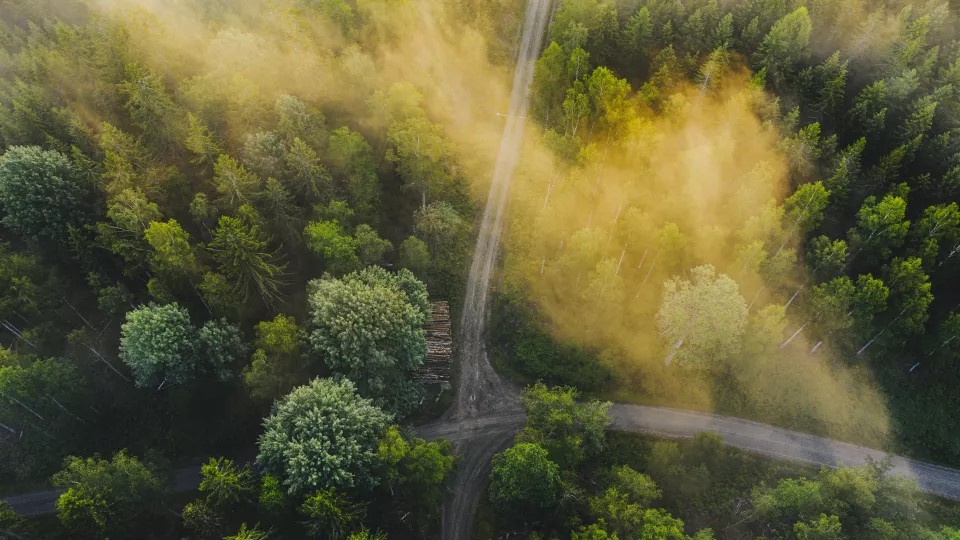 Flygbild över skog med olika vägar samt upplagt timmer. Foto: Istockphoto/Micke Andersson.
